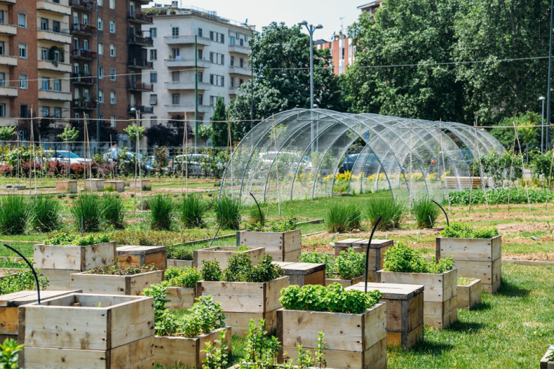 Urban Farming